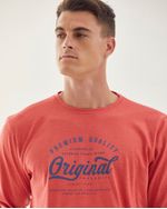 Remeras-de-Hombre