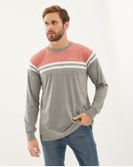 Remeras-de-Hombre