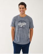 Remeras-de-Hombre