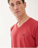 Remeras-de-Hombre