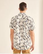 camisas-de-hombre