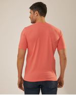Remeras-de-Hombre