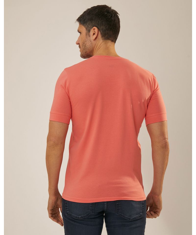 Remeras-de-Hombre