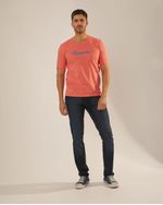 Remeras-de-Hombre
