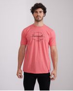 Remeras-de-Hombre
