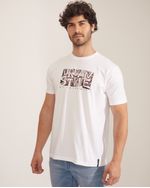 Remeras-de-Hombre
