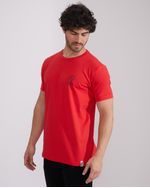 Remeras-de-Hombre