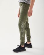 15076_117X3