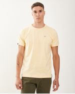 Remeras-de-Hombre