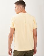 Remeras-de-Hombre