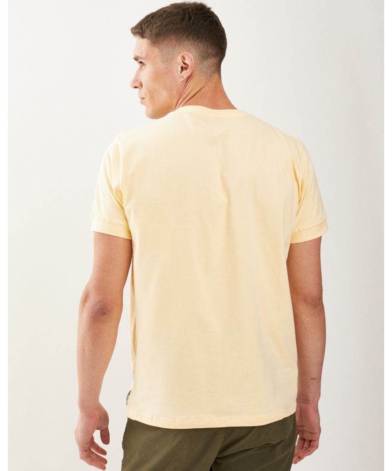 Remeras-de-Hombre