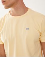 Remeras-de-Hombre