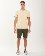 Remeras-de-Hombre