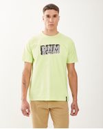 Remeras-de-Hombre