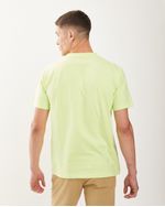 Remeras-de-Hombre
