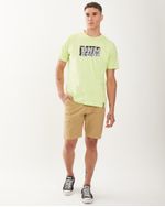 Remeras-de-Hombre