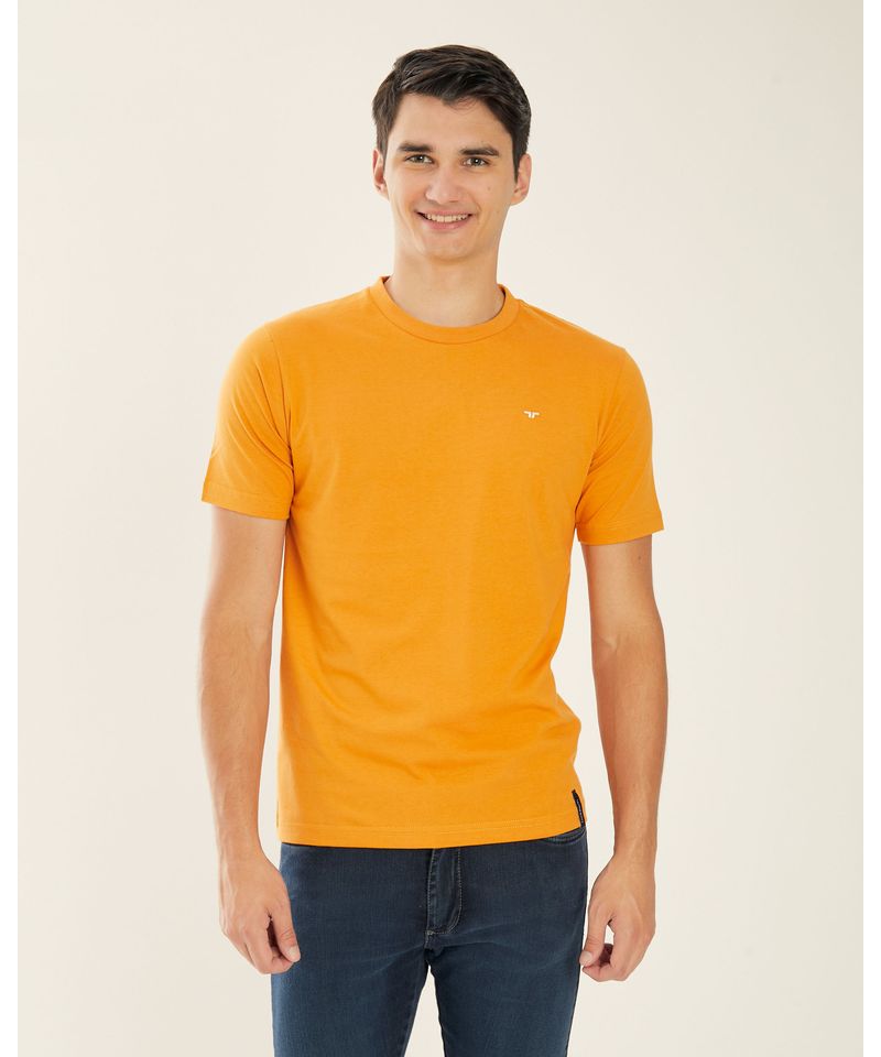 Remeras-de-Hombre