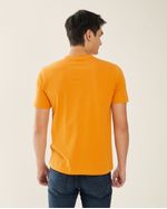 Remeras-de-Hombre