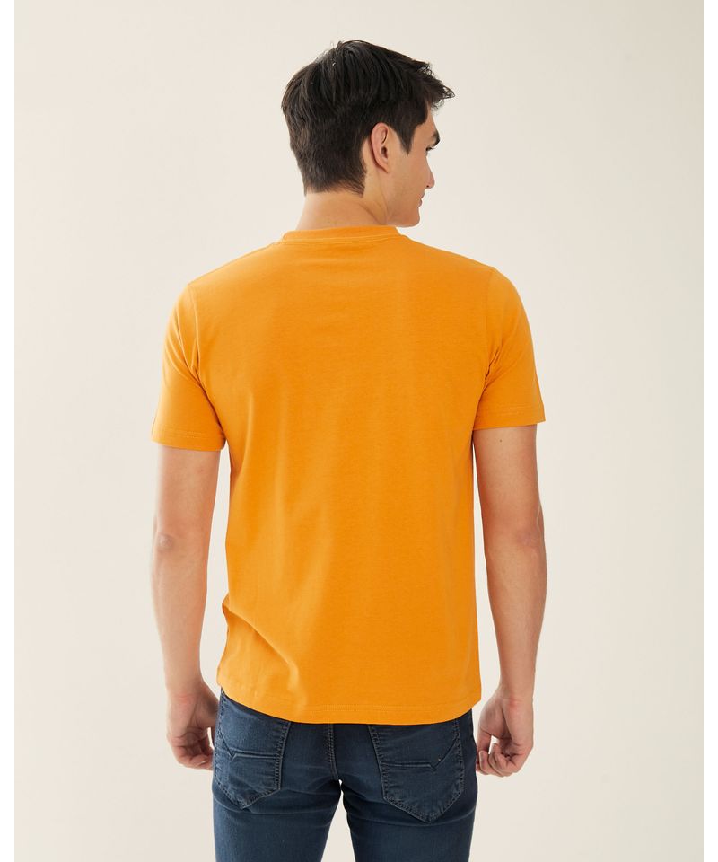 Remeras-de-Hombre