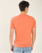 Remeras-de-Hombre