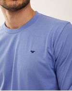Remeras-de-Hombre