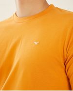 Remeras-de-Hombre