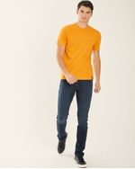 Remeras-de-Hombre