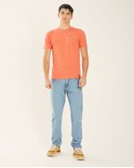 Remeras-de-Hombre