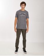Remeras-de-Hombre