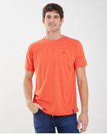 Remeras-de-Hombre