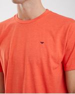 Remeras-de-Hombre