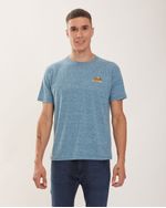 Remeras-de-Hombre