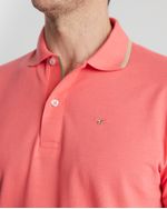 04478_706X3--2---Copiar-
