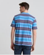 Remeras-de-Hombre