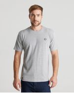 Remeras-de-Hombre