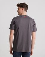 Remeras-de-Hombre