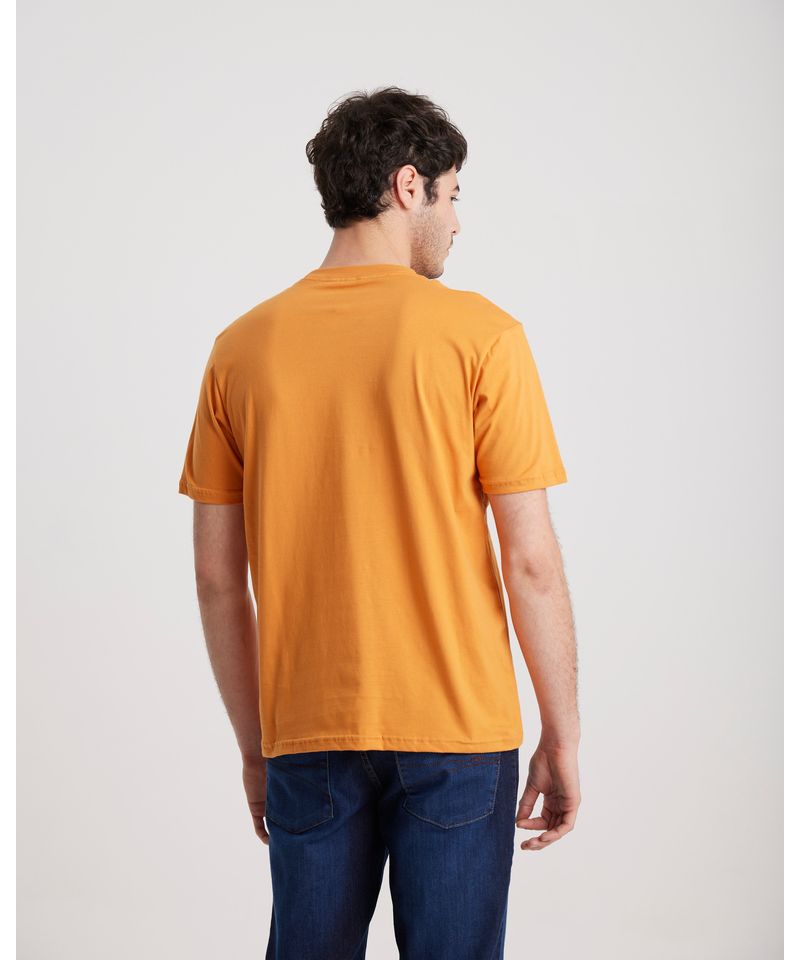 Remeras-de-Hombre