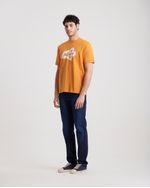 Remeras-de-Hombre