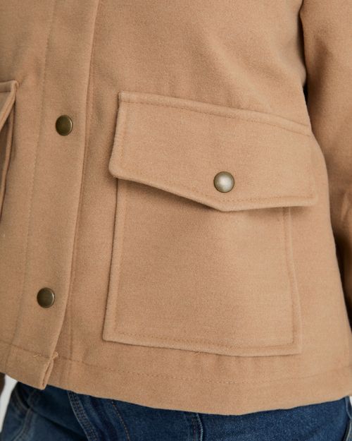 Campera doradus