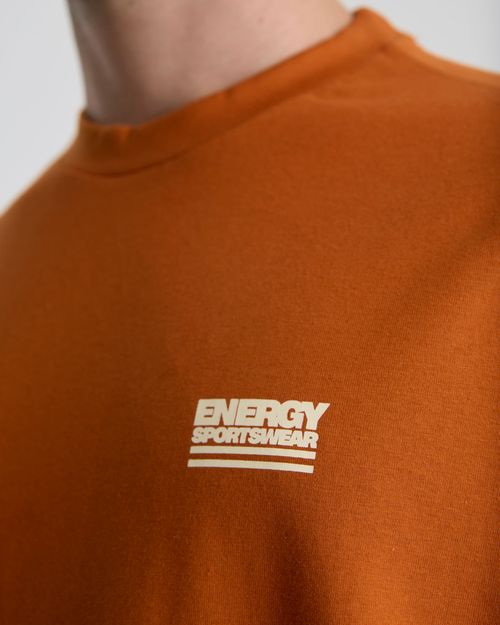 Remera Ferreira