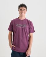 Remeras-de-Hombre