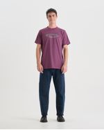 Remeras-de-Hombre