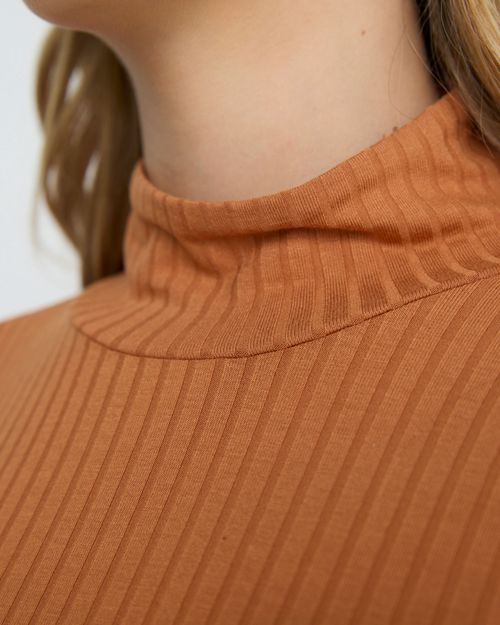 Remera muscae