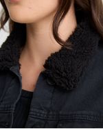 03153_710X3.jpg