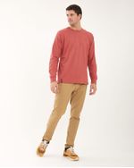 Remeras-de-Hombre